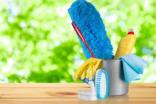 Professional carpet cleaning service for homes in E15