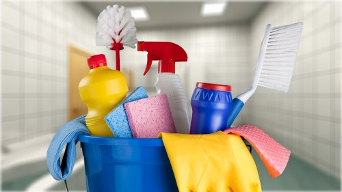 Detailed complaint information for carpet cleaning review and resolution