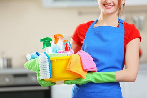 Deep cleaning different rug materials for E15 customers