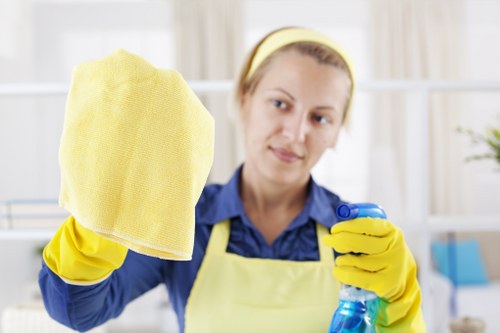 Professional window cleaning for residential and commercial properties in E15