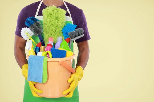 Domestic cleaning service in a Stratford home