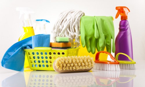 Professional carpet cleaning for homes in E15