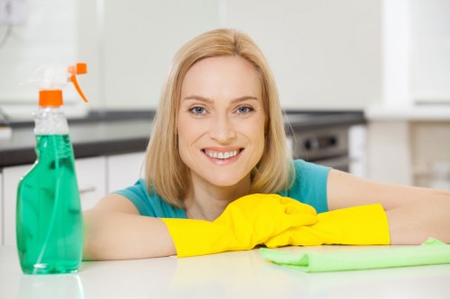 Local home cleaning service discussion for E15 residents