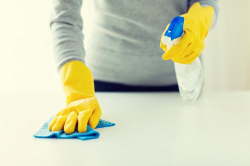 Deep cleaning service for a home in E15