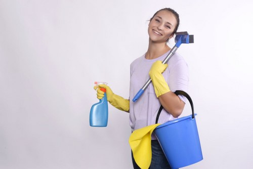 End of tenancy cleaning in an E15 rental property