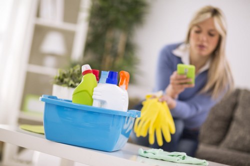 Kitchen and bathroom domestic cleaning tasks for E15 households