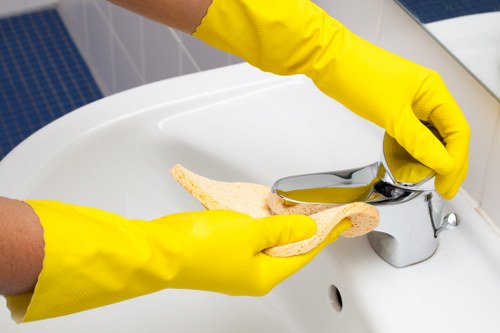 Cleaner preparing professional carpet cleaning service materials